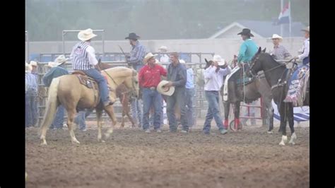 Steer Wrestling In The Prca Rodeo At The Colorado State Fair In Pueblo