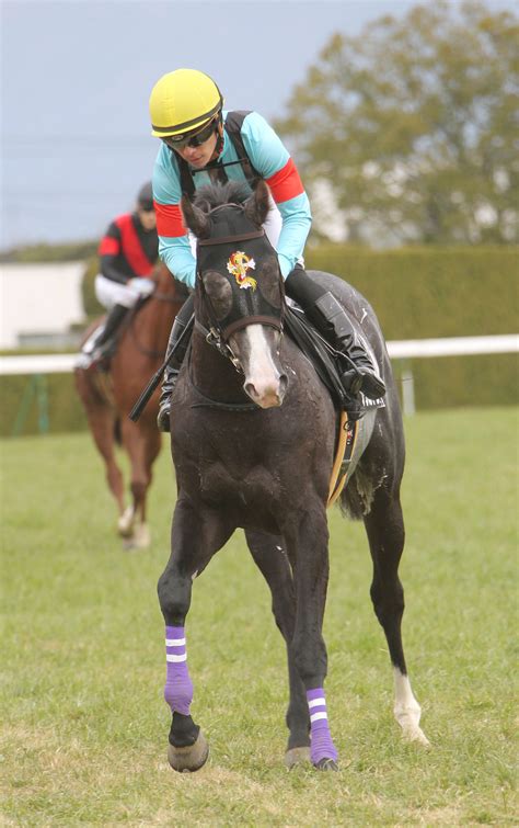 【勝羽の日曜競馬コラム・心斎橋s】 日刊ゲンダイ競馬