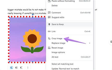 How To Insert And Edit Pictures In Google Docs On Mobile And PC