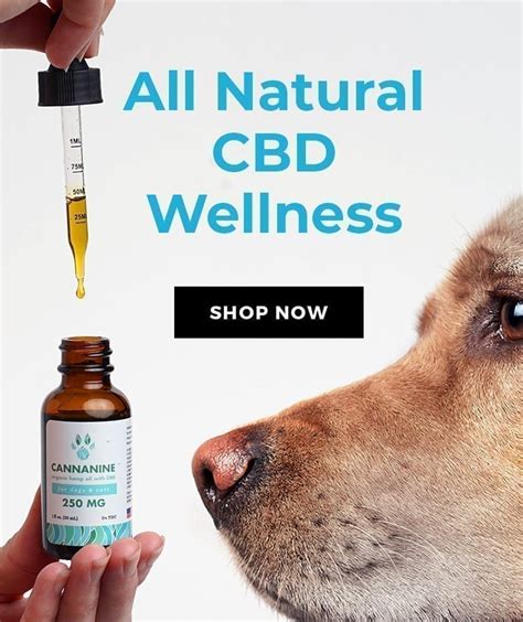 Cannanine Organic Hemp Cbd Oil For Dogs And Cats