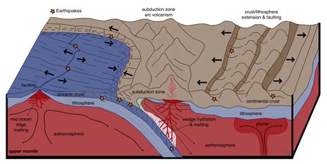 Lithospheric Plates Consist Of Which Of The Following Components