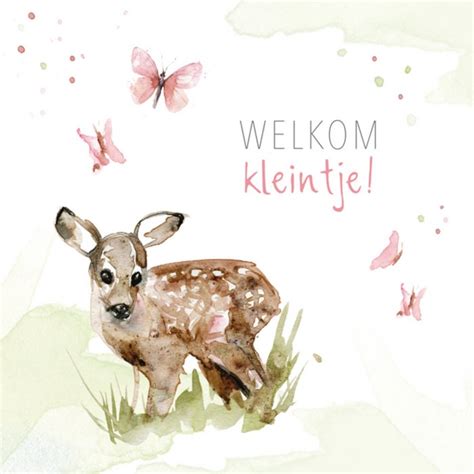 Michelle Dujardin Geboortekaart Illustratie Greetz