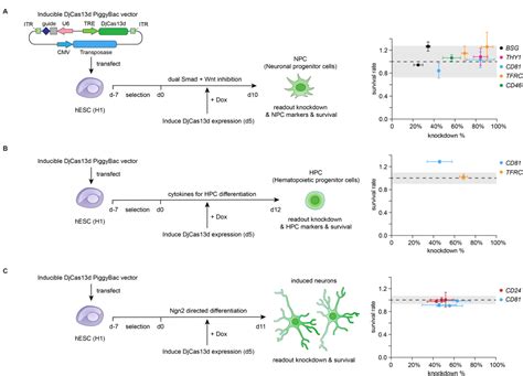 Figure From Deep Learning And Crispr Cas D Ortholog Discovery For