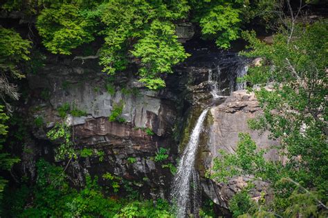 How to Find The Best Fall Creek Falls Hiking Trails