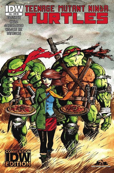 Teenage Mutant Ninja Turtles Comic Cover Simon Bisley