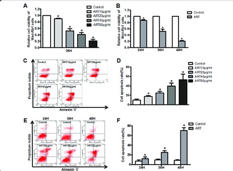 Art Inhibits Weri Rb Cells Proliferation And Induces Cell Apoptosis A