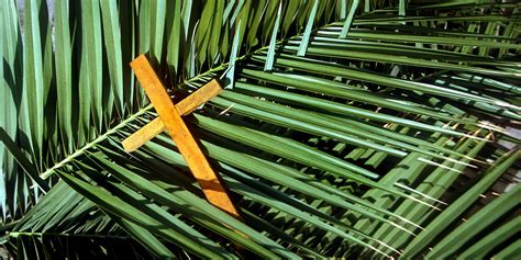 March 24 2025 Reflection On Palm Sunday Luce Silvie