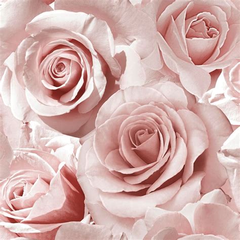 Muriva Madison Rose Pattern Wallpaper