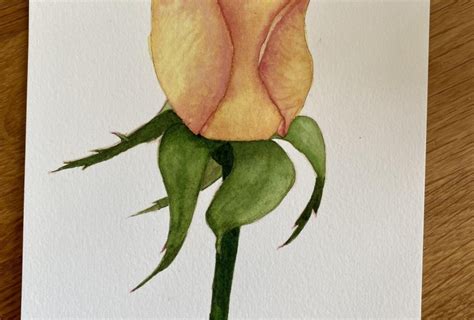 C Mo Dibujar Y Pintar Realistas Rosas Rojas Que Combinan Tinta Y