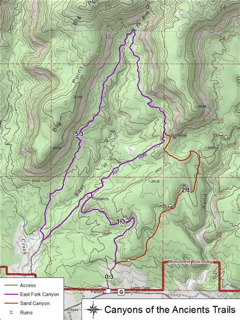 Canyon Of The Ancients Map - Maps For You