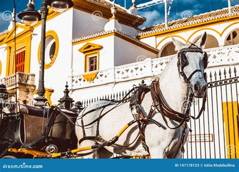 The Plaza De Toros De La Real Maestranza De Caballeria De Sevilla