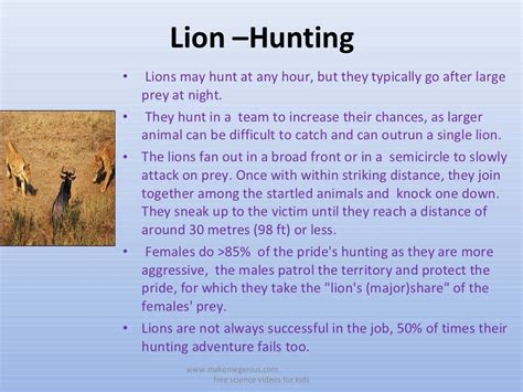 All about lions 30 fun ,interesting facts for kids ppt.