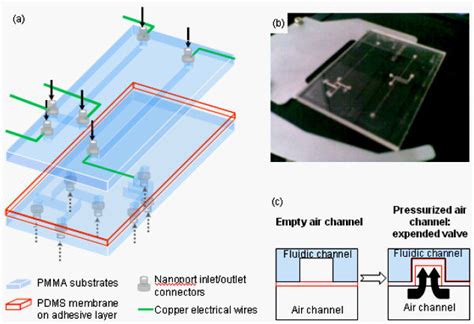 A Schematic Assembly Of Top Pmma Embossed Microfluidic Chips And