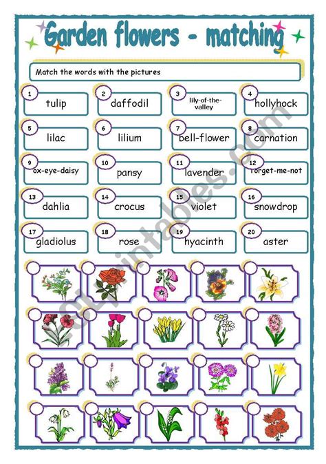 Garden Flowers Matching ESL Worksheet By Piszke