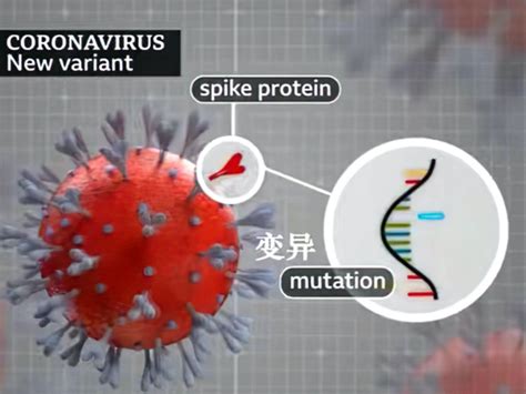 查明了！北京大兴新冠疫情和英国发现的变异毒株有关！ 手机新浪网