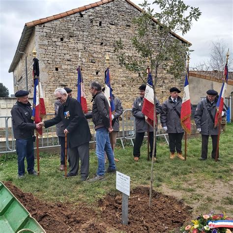 La Faye Les Enfants Participent La Plantation De Larbre De La Paix