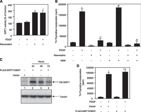 Resveratrol Inhibits Pdgf Receptor Mitogenic Signaling In Mesangial