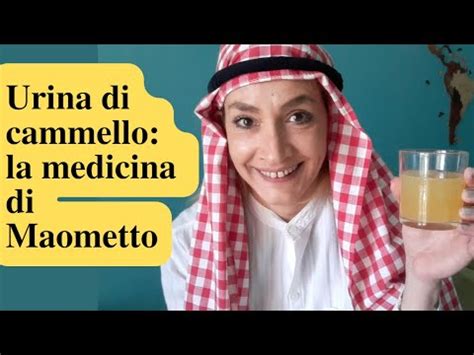 BERE L URINA DI CAMMELLO LA MEDICINA DI MAOMETTO YouTube