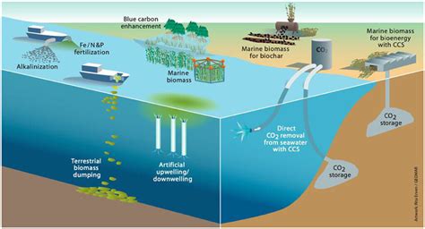 Sequestering carbon on a gigaton scale: How gene editing can address ...