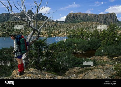 Hiker The Labyrinth Cradle Mountain NP Australia Tasmania Cradle