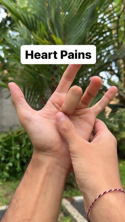 Chinese Medicine Palm Acupoint In 2024 Acupressure Chinese Medicine