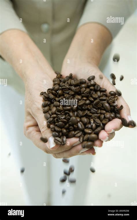 Womans Hands Holding Coffee Beans Cropped Stock Photo Alamy