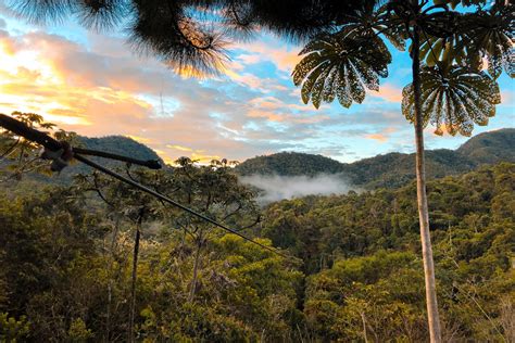 Sunset In The Jungle Oxapampa Peru Viajar por Perú