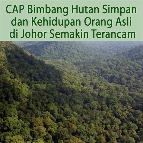 CAP Bimbang Hutan Simpan Dan Kehidupan Orang Asli Di Johor Semakin