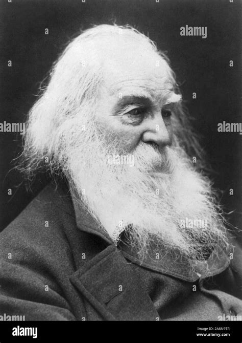 Walt Whitman Portrait Hi Res Stock Photography And Images Alamy