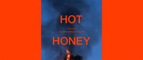 Zusammenarbeit Tiësto Alana Springsteen Hot Honey Rockland Radio bester ROCK N POP