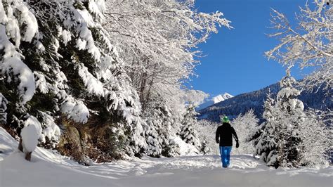 Urlaub Mit Hund In Der Region Schladming Dachstein Outdooractive