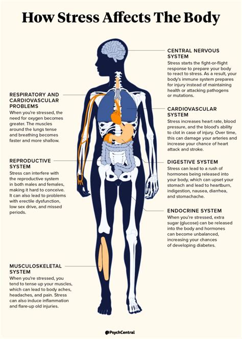 How Stress Affects You Physically I Psych Central