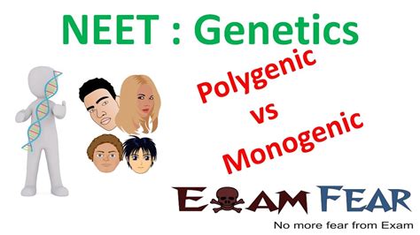 Neet Biology Genetics Polygenic Vs Monogenic Polygenic And Environment Youtube