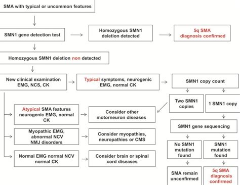 Spinal Muscular Atrophy Orphanet Journal Of Rare Diseases