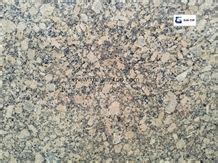 Amarelo Fiorito Granite Slab Giallo Fiorito Veneziano Giallo Fiorito