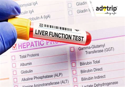 Lft Test Cost In India Lft Liver Function Test Price In India