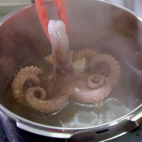 C Mo Cocer El Pulpo Para Que No Te Quede Duro Cocinar Pulpo Como