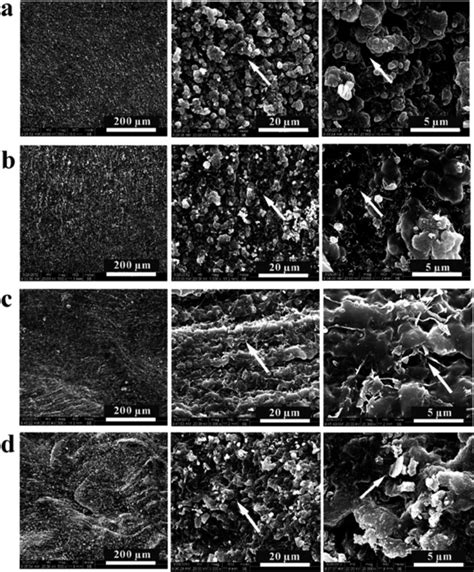 Fesem Images With Di Ff Erent Magni Fi Cations Of Pure Hydrogel A And