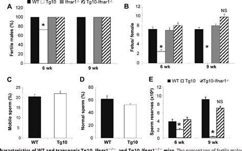 Figure From Excess Type I Interferon Signaling In The Mouse