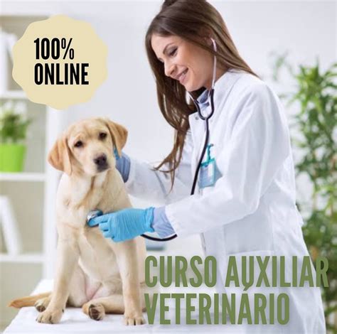 Urgencias Veterinarias En Perros Y Gatos Solange Saucedo Hotmart