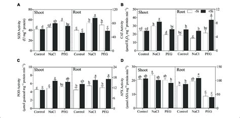 A Superoxide Dismutase Sod Activity B Catalase Cat Activity