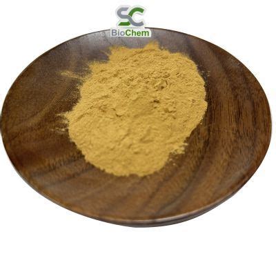 Hot Sale Ligustilide Dong Quai Angelica Sinensis Root Extract Powder