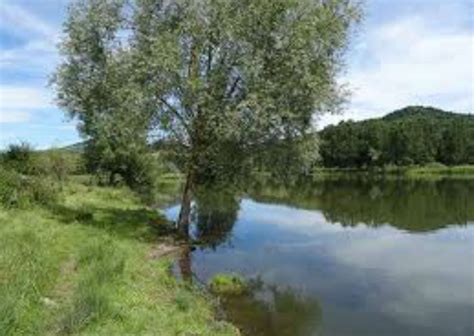 Aire De Pique Nique Du Plan D Eau De Langlade Auvergne Destination