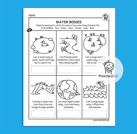 Water Science Activity Packet 14pages Worksheets Library