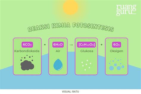 Pengertian Fotosintesis Dan Persamaan Reaksi Kimia Fotosintesis Serta Otosection