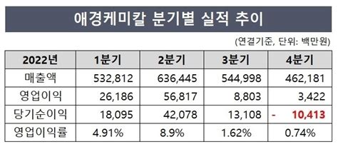 작년 매출 2조 애경케미칼 올해는 어렵다 딜사이트