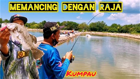 Memancing Kolam Siakap Dan Kaci Kolam Rm3 Banting YouTube