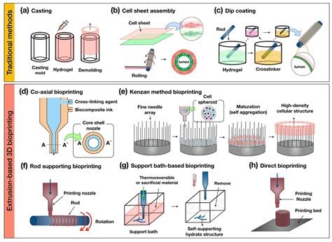 Bioengineering Free Full Text 3D Bioprinting Strategies For The