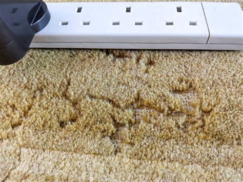 Damage Caused To Carpet by Moths Infestation Stock Image - Image of ...