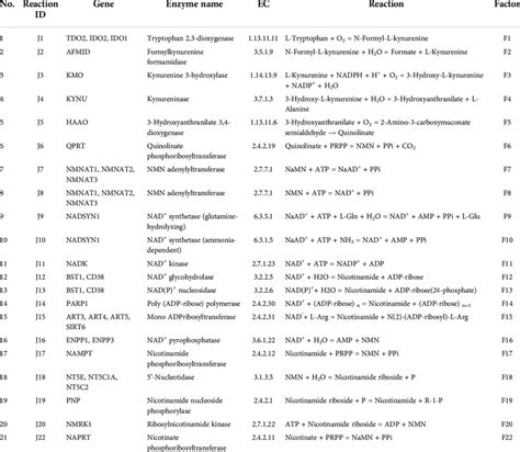 NAD net pathway reactions to gene, enzyme, and Factor mappings ...